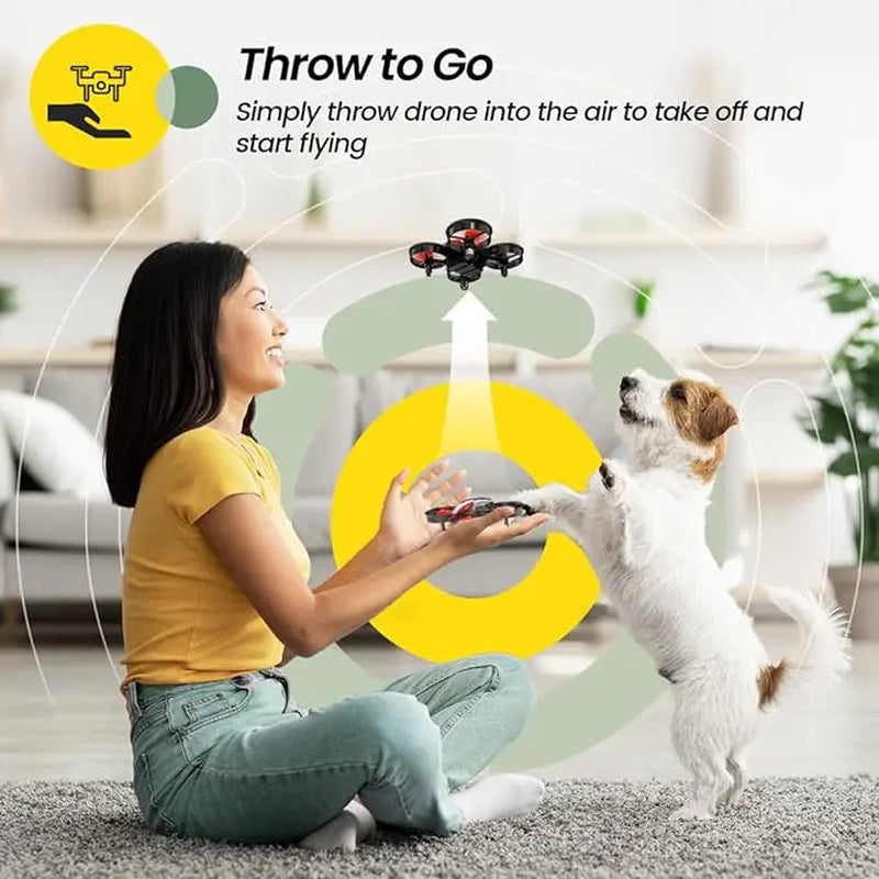 Holy Stone HS210 Mini Drone RC Nano Quadcopter with Auto Hovering, 3D Flip, Extra Batteries, Accessories for Beginners Portable Remote Control Drone