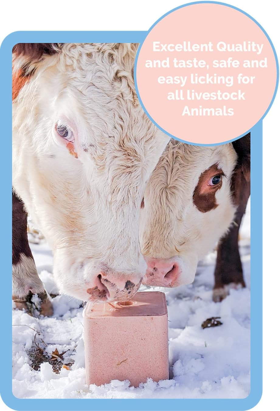 Compressed Pink Salt Lick for Livestock and Wildlife Animals, Pure & Natural Feed Salt Block, Minerals & Trace Elements, No Additives, 5.5LB (2.5KG)